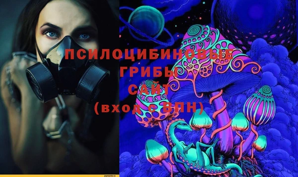 гидропоника Щигры