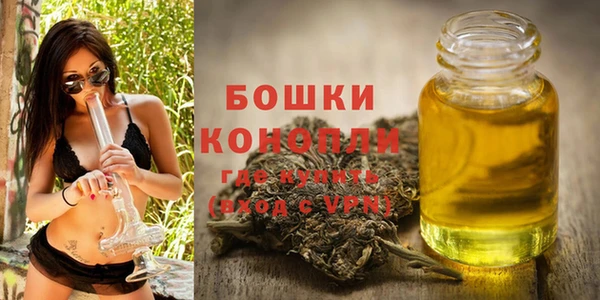 ПСИЛОЦИБИНОВЫЕ ГРИБЫ Щигры