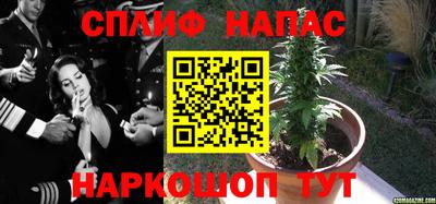 гашик Апшеронск