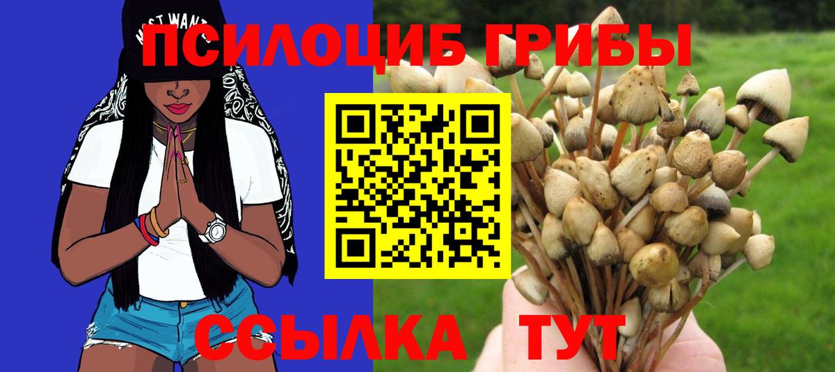 Аргун  Галлюциногенные грибы прущие грибы  Вход с VPN  Псилоцибиновые грибы Cubensis 
