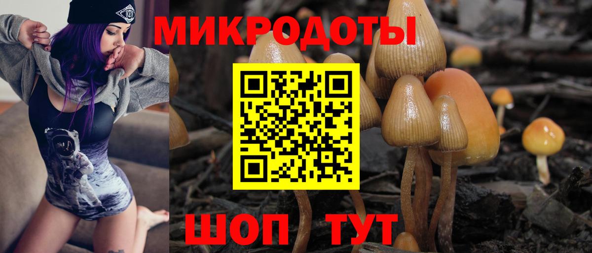 Галлюциногенные грибы ЛСД Аргун